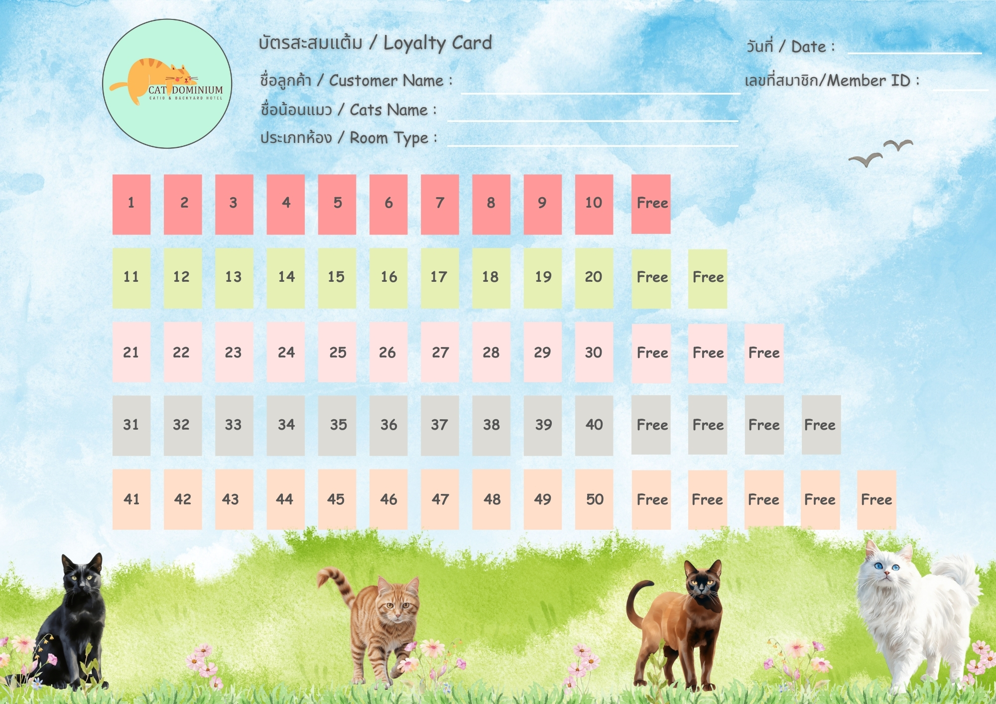 บัตรสะสมแต้ม Catdominium